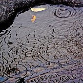 Проливной дождь и сильный ветер царят во Владивостоке (ФОТО)