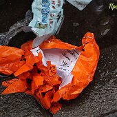 Проливной дождь и сильный ветер царят во Владивостоке (ФОТО)