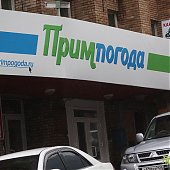 Проливной дождь и сильный ветер царят во Владивостоке (ФОТО)