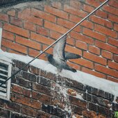 Мощный циклон принес во Владивосток снег, метель, гололедицу (ФОТО)