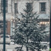 Мощный циклон принес во Владивосток снег, метель, гололедицу (ФОТО)