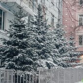 Мощный циклон принес во Владивосток снег, метель, гололедицу (ФОТО)