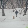 Мощный циклон принес во Владивосток снег, метель, гололедицу (ФОТО)