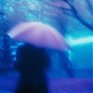 В выходные в Приморье будет прохладно и дождливо