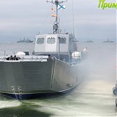 Владивосток отметил День ВМФ