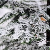 На Приморье обрушился южный циклон (ФОТО; ВИДЕО)