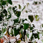 На Приморье обрушился южный циклон (ФОТО; ВИДЕО)