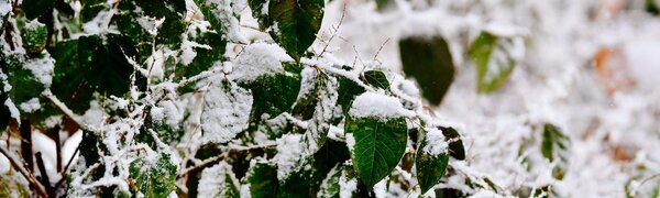 На Приморье обрушился южный циклон (ФОТО; ВИДЕО)