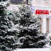 На Приморье обрушился южный циклон (ФОТО; ВИДЕО)