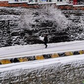 На Приморье обрушился южный циклон (ФОТО; ВИДЕО)