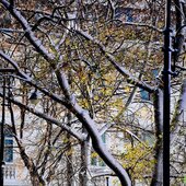 На Приморье обрушился южный циклон (ФОТО; ВИДЕО)