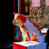 На Приморье обрушился южный циклон (ФОТО; ВИДЕО)