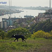 Нагорный парк