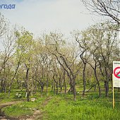 Нагорный парк