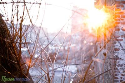 В четверг воздух во Владивостоке прогреется до -3 °C