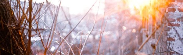 Оттепели охватят большую часть Приморья на следующей неделе