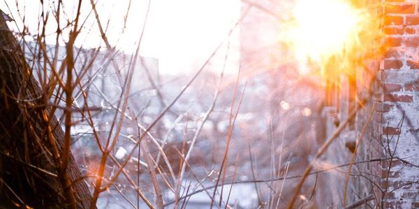В четверг воздух во Владивостоке прогреется до -3 °C
