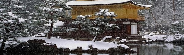 В Японии из-за снегопада погибли 15 человек