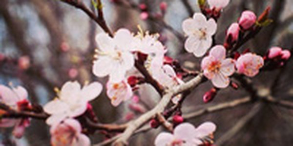 Стань погодным репортером вместе с Примпогодой!