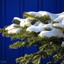 Короткая оттепель в Приморье быстро сменилась морозной погодой