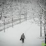 Ноябрь в Приморье оказался экстремально холодным и снежным