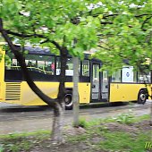 Динамика дождя: мокрые улицы