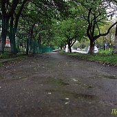 Динамика дождя: мокрые улицы