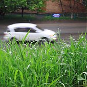 Динамика дождя: мокрые улицы