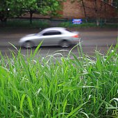 Динамика дождя: мокрые улицы