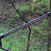 Динамика дождя: мокрые улицы