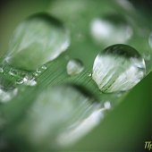 Динамика дождя: мокрые улицы