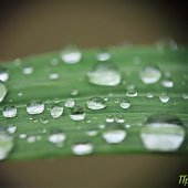 Динамика дождя: мокрые улицы