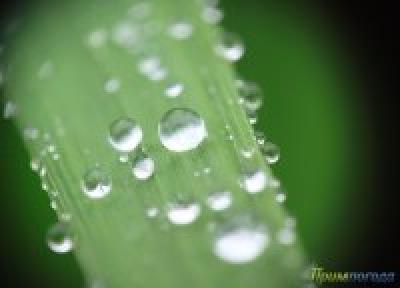 Динамика дождя: мокрые улицы