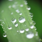 Динамика дождя: мокрые улицы