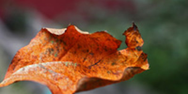 Сегодня погода в Приморье существенно не изменится