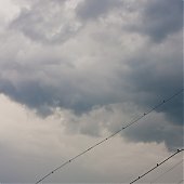 Во время грозы во Владивостоке выпало 23 мм осадков