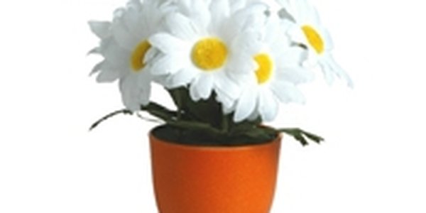 С эстонским «умным» горшком растение не нужно поливать и удобрять 