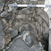 В Норвегии нашли свитер возрастом в 1700 лет