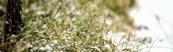 Дождь со снегом и похолодание ожидаются в Приморье