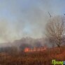 В Приморском крае увеличился уровень пожароопасности леса