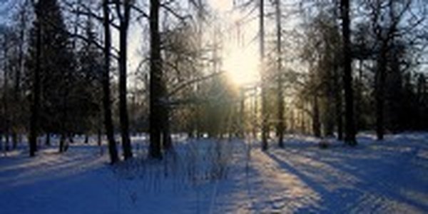 На прощание январь подарит Приморью тепло и морозы
