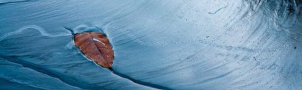 Приморские реки постепенно возвращаются в свои берега