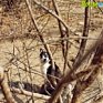 Начало мая в центре России будет холодным