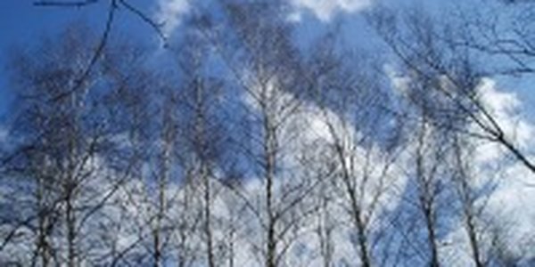 В воскресенье в Приморье было тепло