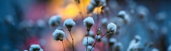 Каким будет ноябрь в Приморье