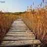 На выходных аномалия температуры местами в Приморье достигала более 9 градусов