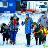 Новогодняя ночь во Владивостоке будет ясной и умеренно морозной