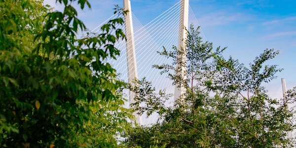 Температура воздуха понизится на побережье Приморья в четверг