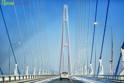 Чем дышал Владивосток с 21 по 30 января?