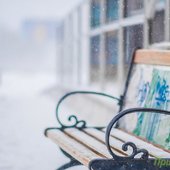 К концу дня и ближайшей ночью осадки в Приморье усилятся